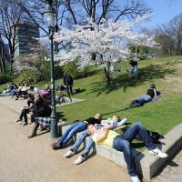 1420_2724 Die HamburgerInnen und Touristen der Hansestadt geniessen die Sonne des Frühlings. | 